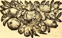Picture 76 of 112 from Histoire metallique de la republique de Hollande. (1688), leaf 215