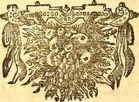 An illustration from Histoire metallique de la republique de Hollande. (1688)