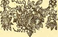 An illustration from Histoire metallique de la republique de Hollande. (1688)
