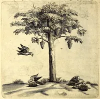 Picture 7 of 30 from Histoire naturelle et morale des iles Antilles de l'Amerique. Enrichie d'un grand nombre de belles figures en taille douce, des places & des raretez les plus considerables, qui y sont décrites. Avec un vocabulaire caraïbe (1665), leaf 112