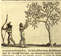 Picture 10 of 30 from Histoire naturelle et morale des iles Antilles de l'Amerique. Enrichie d'un grand nombre de belles figures en taille douce, des places & des raretez les plus considerables, qui y sont décrites. Avec un vocabulaire caraïbe (1665), leaf 118