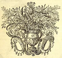 An illustration from Histoire naturelle et morale des iles Antilles de l'Amerique. Enrichie d'un grand nombre de belles figures en taille douce, des places & des raretez les plus considerables, qui y sont décrites. Avec un vocabulaire caraïbe (1665)