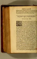 An illustration from Histoire naturelle et morale des Indes, tant Orientales, qu'Occidentales. : où il est traicté des choses remarquables du ciel, des elemens ... qui sont propres de ce pays, : ensemble des murs, ceremonies ... des mesmes Indiens. (1617)