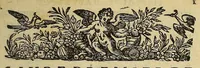 Picture 2 of 8 from Histoire naturelle et moralle des Indes, tant Orientalles qu'Occidentalles : où, il est traicté des choses remarquables du ciel, des elemens ... qui sont propres de ce pays. : ensemble des mœurs, ceremonies ... des mesmes Indiens. (1600), leaf 23