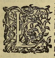 An illustration from Histoire naturelle et moralle des Indes, tant Orientalles qu'Occidentalles : où, il est traicté des choses remarquables du ciel, des elemens ... qui sont propres de ce pays. : ensemble des mœurs, ceremonies ... des mesmes Indiens. (1600)