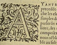 An illustration from Histoire naturelle et moralle des Indes, tant Orientalles qu'Occidentalles : où, il est traicté des choses remarquables du ciel, des elemens ... qui sont propres de ce pays. : ensemble des mœurs, ceremonies ... des mesmes Indiens. (1600)