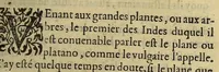 Picture 6 of 8 from Histoire naturelle et moralle des Indes, tant Orientalles qu'Occidentalles : où, il est traicté des choses remarquables du ciel, des elemens ... qui sont propres de ce pays. : ensemble des mœurs, ceremonies ... des mesmes Indiens. (1600), leaf 359
