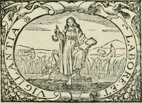 An illustration from Histoire naturelle et morale des iles Antilles de l'Amerique : enrichie de plusieurs belles figures des raretez les plus considerables qui y sont d'écrites : avec un vocabulaire caraibe (1658)
