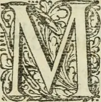 An illustration from Histoire naturelle et morale des iles Antilles de l'Amerique : enrichie de plusieurs belles figures des raretez les plus considerables qui y sont d'écrites : avec un vocabulaire caraibe (1658)