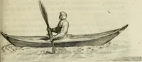 An illustration from Histoire naturelle et morale des iles Antilles de l'Amerique : enrichie de plusieurs belles figures des raretez les plus considerables qui y sont d'écrites : avec un vocabulaire caraibe (1658)