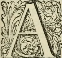 An illustration from Histoire naturelle et morale des iles Antilles de l'Amerique : enrichie de plusieurs belles figures des raretez les plus considerables qui y sont d'écrites : avec un vocabulaire caraibe (1658)
