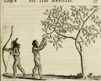 Picture 12 of 62 from Histoire naturelle et morale des iles Antilles de l'Amerique : enrichie de plusieurs belles figures des raretez les plus considerables qui y sont d'écrites : avec un vocabulaire caraibe (1658), leaf 80