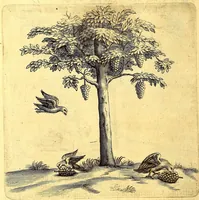 Picture 7 of 46 from Histoire naturelle et morale des iles Antilles de l'Amerique. : Enrichie d'un grand nombre de belles figures en taille douce, des places & des raretez les plus considerables, qui y sont décrites. : Avec un vocabulaire Caraïbe (1665), leaf 114