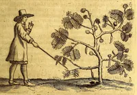 Picture 22 of 46 from Histoire naturelle et morale des iles Antilles de l'Amerique. : Enrichie d'un grand nombre de belles figures en taille douce, des places & des raretez les plus considerables, qui y sont décrites. : Avec un vocabulaire Caraïbe (1665), leaf 173