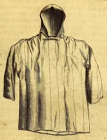 Picture 37 of 46 from Histoire naturelle et morale des iles Antilles de l'Amerique. : Enrichie d'un grand nombre de belles figures en taille douce, des places & des raretez les plus considerables, qui y sont décrites. : Avec un vocabulaire Caraïbe (1665), leaf 259