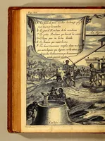 An illustration from Histoire naturelle et morale des iles Antilles de l'Amerique. : Enrichie d'un grand nombre de belles figures en taille douce, des places & des raretez les plus considerables, qui y sont décrites. : Avec un vocabulaire Caraïbe (1665)