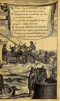 Picture 44 of 46 from Histoire naturelle et morale des iles Antilles de l'Amerique. : Enrichie d'un grand nombre de belles figures en taille douce, des places & des raretez les plus considerables, qui y sont décrites. : Avec un vocabulaire Caraïbe (1665), leaf 381