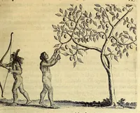 Picture 5 of 21 from Histoire naturelle et morale des iles Antilles de l'Amerique. : Enrichie de plusieurs belles figures des raretez les plus considerables qui y sont d'écrites. : Avec vn vocabulaire Caraïbe (1658), leaf 79