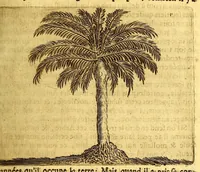 Picture 6 of 26 from Histoire naturelle et morale des iles Antilles de l'Amerique, : enrichie d'un grand nombre de belles figures en taille douce, qui representent au naturel les places, & les raretez les plus considerables qui y sont décrites. : Avec un vocabulaire caraïbe (1681), leaf 121