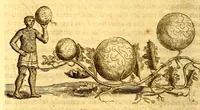 Picture 13 of 26 from Histoire naturelle et morale des iles Antilles de l'Amerique, : enrichie d'un grand nombre de belles figures en taille douce, qui representent au naturel les places, & les raretez les plus considerables qui y sont décrites. : Avec un vocabulaire caraïbe (1681), leaf 174