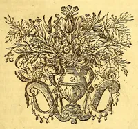 Picture 18 of 26 from Histoire naturelle et morale des iles Antilles de l'Amerique, : enrichie d'un grand nombre de belles figures en taille douce, qui representent au naturel les places, & les raretez les plus considerables qui y sont décrites. : Avec un vocabulaire caraïbe (1681), leaf 223