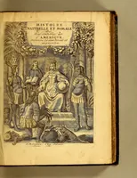 An illustration from Histoire naturelle et morale des iles Antilles de l'Amerique, : enrichie d'un grand nombre de belles figures en taille douce, qui representent au naturel les places, & les raretez les plus considerables qui y sont décrites. : Avec un vocabulaire caraïbe (1681)