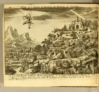 An illustration from Histoire naturelle des iles Antilles de l'Amerique: (1667)