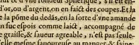 An illustration from Histoires des Indes, (1604)
