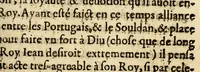 An illustration from Histoires des Indes, (1604)