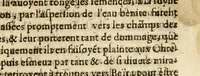 An illustration from Histoires des Indes, (1604)