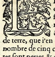 An illustration from Histoires prodigieuses extraictes de plusieurs fameux autheurs, grecz & latins, sacrez & prophanes (1561)