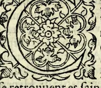 An illustration from Histoires prodigieuses extraictes de plusieurs fameux autheurs, grecz & latins, sacrez & prophanes (1561)