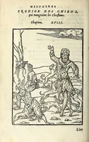 An illustration from Histoires prodigieuses extraictes de plusieurs fameux autheurs, grecz & latins, sacrez & prophanes (1561)