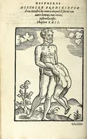 An illustration from Histoires prodigieuses extraictes de plusieurs fameux autheurs, grecz & latins, sacrez & prophanes (1561)
