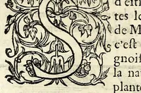 An illustration from Histoires prodigieuses extraictes de plusieurs fameux autheurs, grecz & latins, sacrez & prophanes (1561)