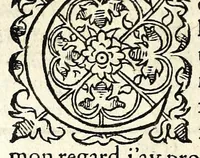 Picture 26 of 42 from Histoires prodigieuses extraictes de plusieurs fameux autheurs, grecz & latins, sacrez & prophanes (1561), leaf 228