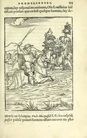 Picture 28 of 42 from Histoires prodigieuses extraictes de plusieurs fameux autheurs, grecz & latins, sacrez & prophanes (1561), leaf 277