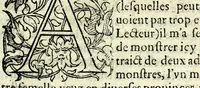 An illustration from Histoires prodigieuses extraictes de plusieurs fameux autheurs, grecz & latins, sacrez & prophanes (1561)