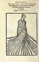 Picture 33 of 42 from Histoires prodigieuses extraictes de plusieurs fameux autheurs, grecz & latins, sacrez & prophanes (1561), leaf 342