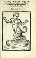 Picture 36 of 42 from Histoires prodigieuses extraictes de plusieurs fameux autheurs, grecz & latins, sacrez & prophanes (1561), leaf 363