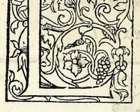Picture 37 of 42 from Histoires prodigieuses extraictes de plusieurs fameux autheurs, grecz & latins, sacrez & prophanes (1561), leaf 364