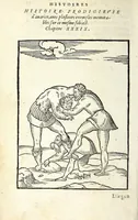 An illustration from Histoires prodigieuses extraictes de plusieurs fameux autheurs, grecz & latins, sacrez & prophanes (1561)