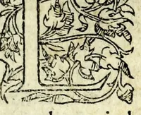Picture 41 of 42 from Histoires prodigieuses extraictes de plusieurs fameux autheurs, grecz & latins, sacrez & prophanes (1561), leaf 387