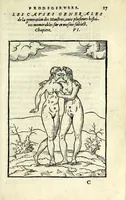 An illustration from Histoires prodigieuses extraictes de plusieurs fameux autheurs, grecz & latins, sacrez & prophanes (1561)