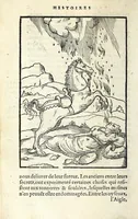 An illustration from Histoires prodigieuses extraictes de plusieurs fameux autheurs, grecz & latins, sacrez & prophanes (1561)