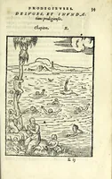 Picture 14 of 42 from Histoires prodigieuses extraictes de plusieurs fameux autheurs, grecz & latins, sacrez & prophanes (1561), leaf 95
