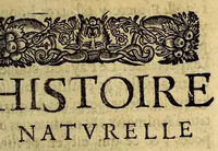 An illustration from Histoire veritable et naturelle des moeurs & productions du pays de la Nouuelle France, vulgairement dite le Canada. (1664)