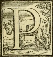 An illustration from Historia (1562)