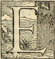 Picture 10 of 18 from Historia (1562), leaf 183