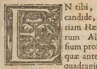 An illustration from Historia Albigensium et sacri belli in eos anno M.CC.IX. suscepti, duce & principe Simone à Monteforti : ex M.SS. codicibus (1617)